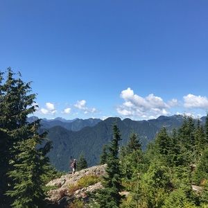 Meet your Posher, Abbey